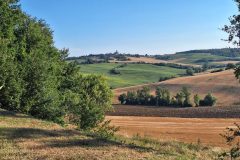 20250803_191914-scaled